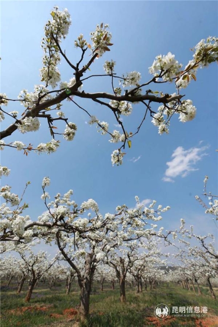 微信图片_20200329121206