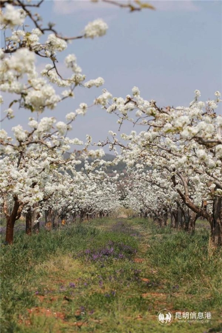 微信图片_20200329121258