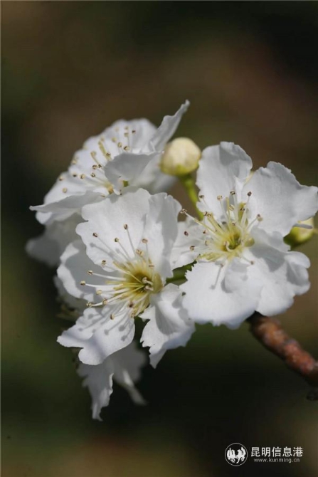 微信图片_20200329121348