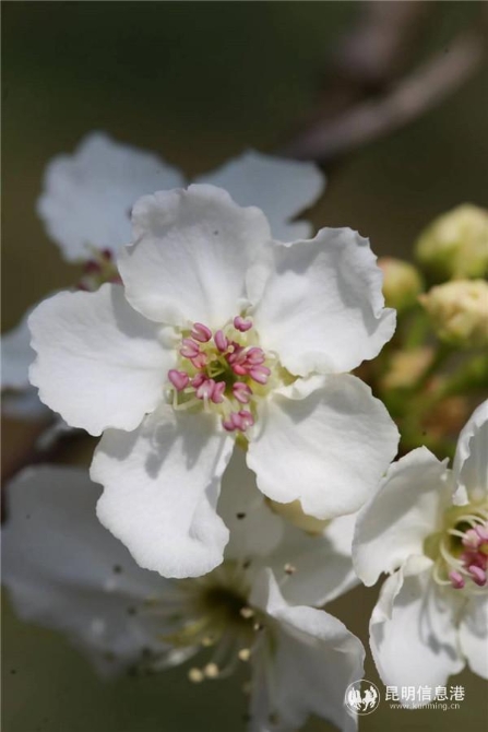 微信图片_20200329121416