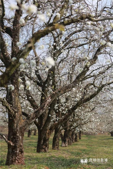 微信图片_20200329121845