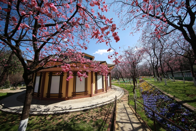 微信图片_20200313200901