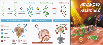 螺旋藻“披上”磁性外衣 借光合作用靶向治疗肿瘤