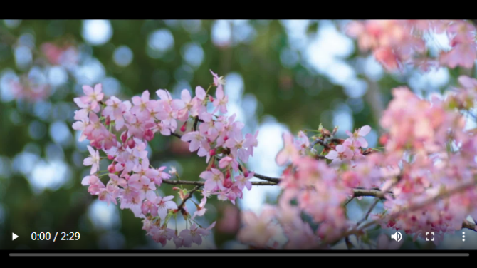 微信截图_20200403122840 微信截图_20200403122840