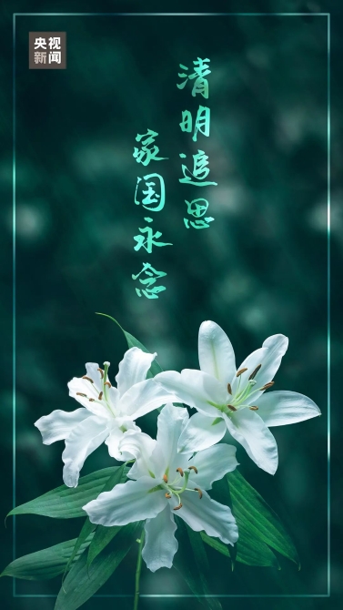 “你替我好好活着!”再听到这句话,依然如此感动