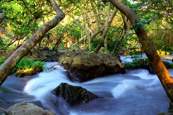 【“疫”后花开迈向诗和远方】纯净山水 荔波樟江景区