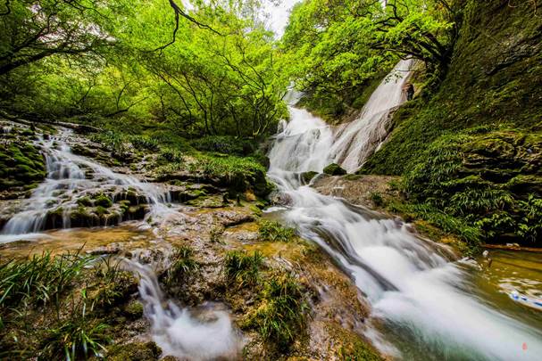 【“疫”后花开迈向诗和远方】纯净山水 荔波樟江景区