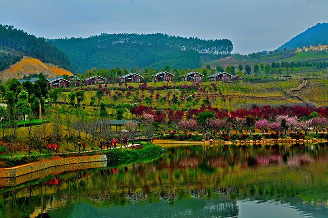 【“疫”后花开迈向诗和远方】花开疫散 十里蓝山邀您赴春之约