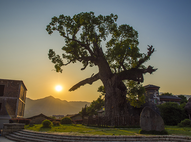 【“疫”后花开迈向诗和远方】花开疫散 十里蓝山邀您赴春之约