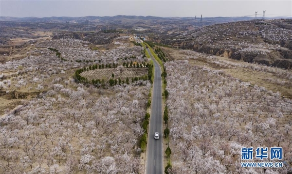 1125826170_15863084411161n