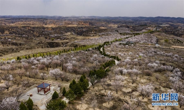 1125826170_15863084411751n