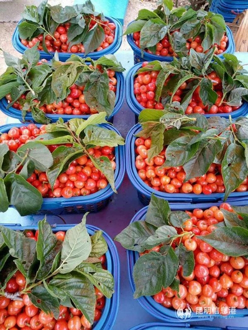 微信图片_20200410232025 微信图片_20200410232025