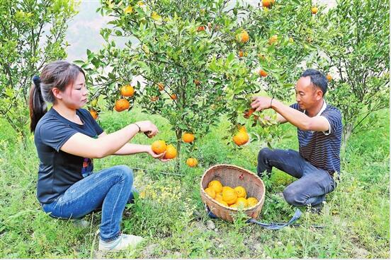 QQ截图20200413082914