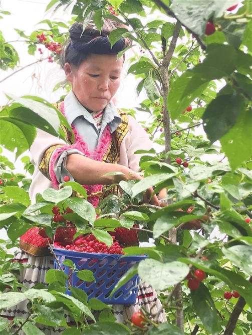 20200414A08_res07_attpic_brief