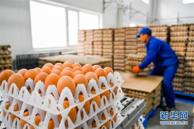 (新华全媒头条·图文互动)(9)内蒙古贫困旗县全部“摘帽”