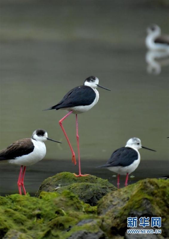 1125877079_15872836418931n