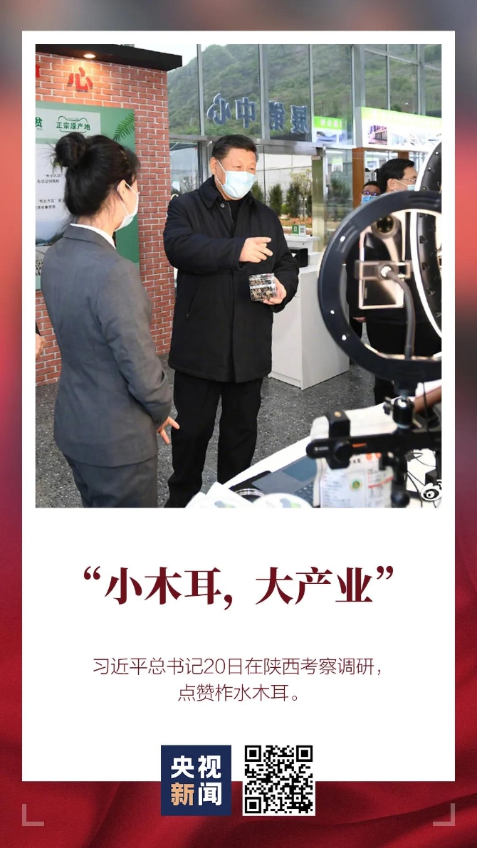 1587432965893_545_1080x1920 1587432965893_545_1080x1920