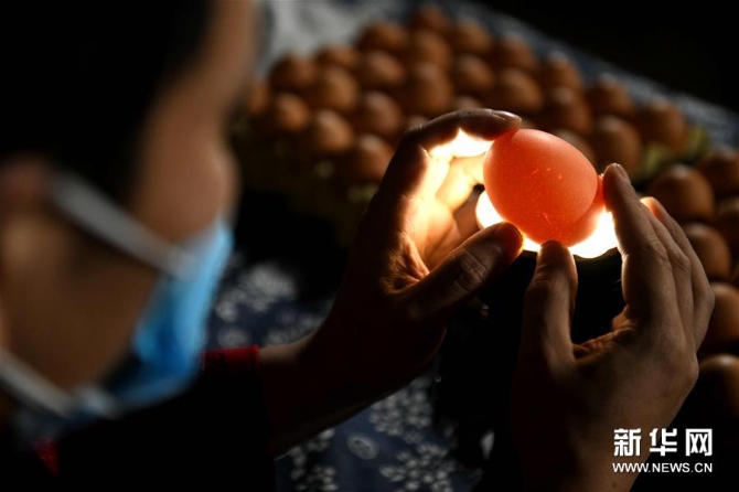 #（社会）（3）精美的蛋雕艺术