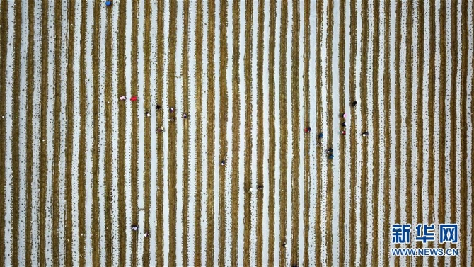 (在习近平新时代中国特色社会主义思想指引下——新时代新作为新篇章·习近平总书记关切事·图文互动)(6)啃下最后的硬骨头——脱贫攻坚挂牌督战进行时