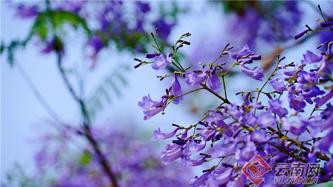 00301633590_fd114463