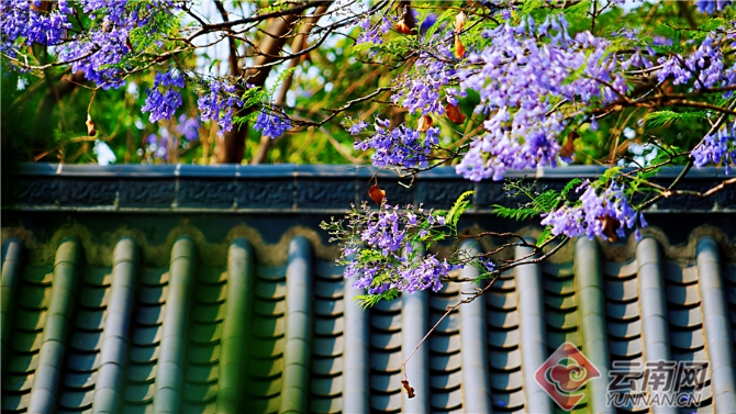 00301633601_c7fe30e4