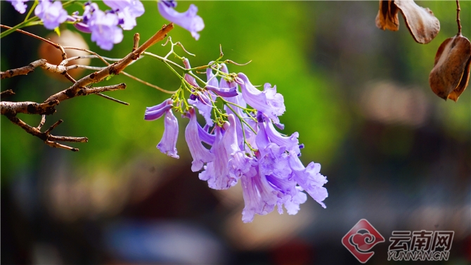 00301633602_30fdf284