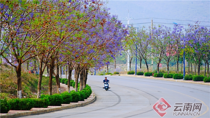 00301633603_79bef51a