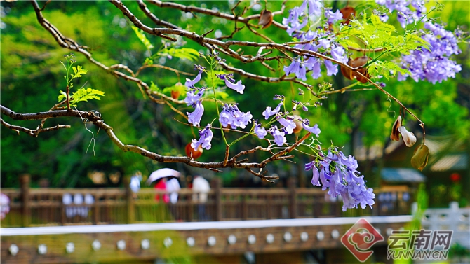 00301633605_3e72b0a9