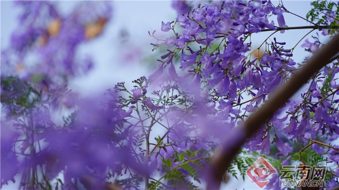 00301633609_1c18120e