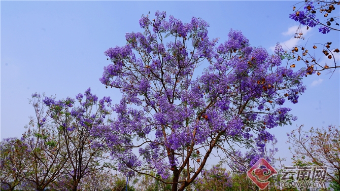 00301633610_36012427