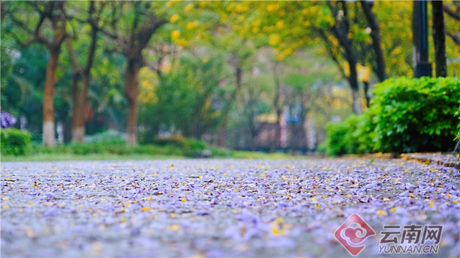 00301633611_6e734d2f