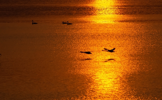 e1ea7ad502a5465abbd5da0d699241b9