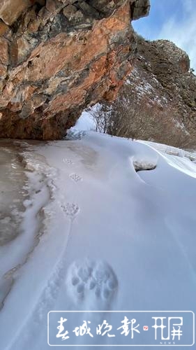 《滇金丝猴3》纪录片重回当年的营地拍摄