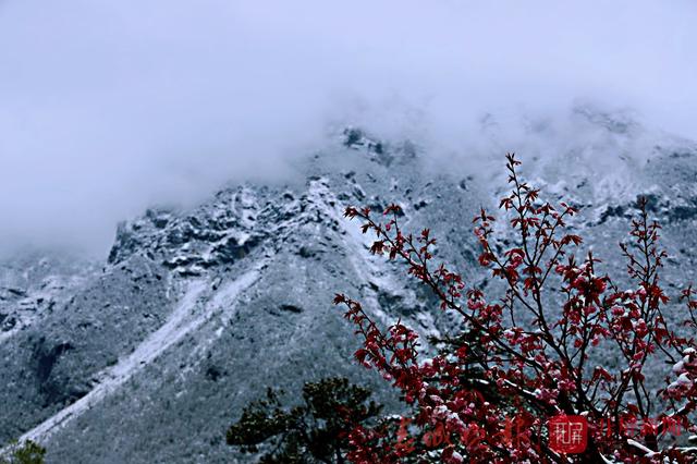 玉龙雪山四月飘雪4.jpg