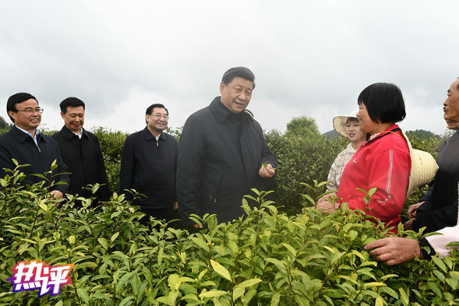 1587894479724_432_800x533