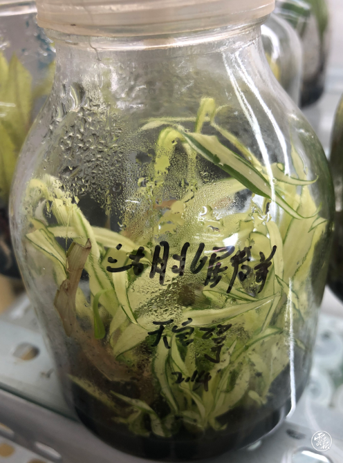 code_ynrb21c776da-1d0a-47d6-a988-72313d79d48f