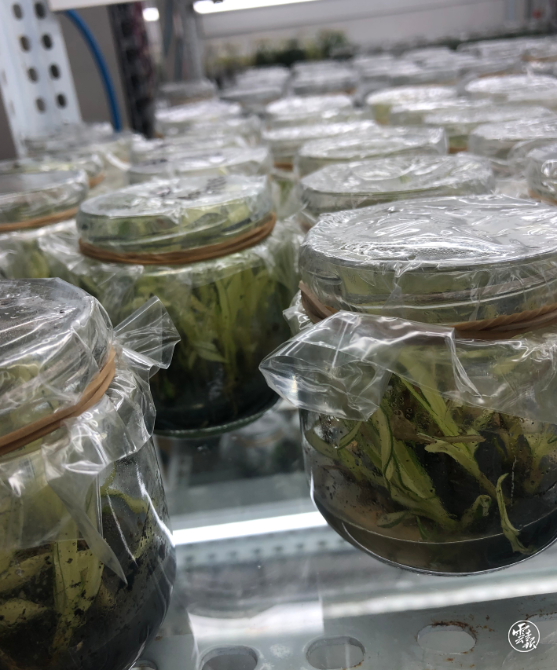 code_ynrbd12a903b-3213-4e50-9856-57fff91a7079