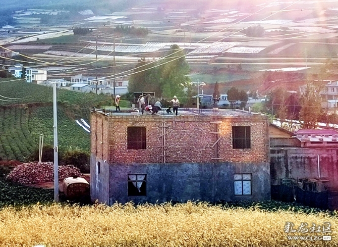 15887551058415074498969098923_21005