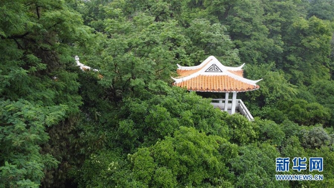 1210605788_15888172936941n 1210605788_15888172936941n