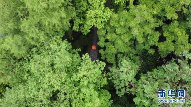 (环境)(2)合肥:环城公园绿意浓