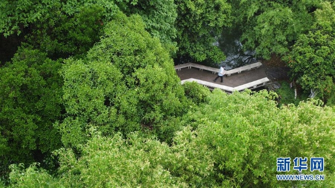 (环境)(1)合肥:环城公园绿意浓