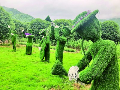 教授丛志强“唤醒”葛家村