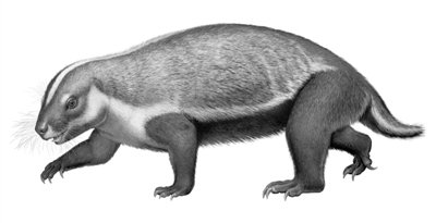 503033_zhangjy_1588923631820_b 503033_zhangjy_1588923631820_b