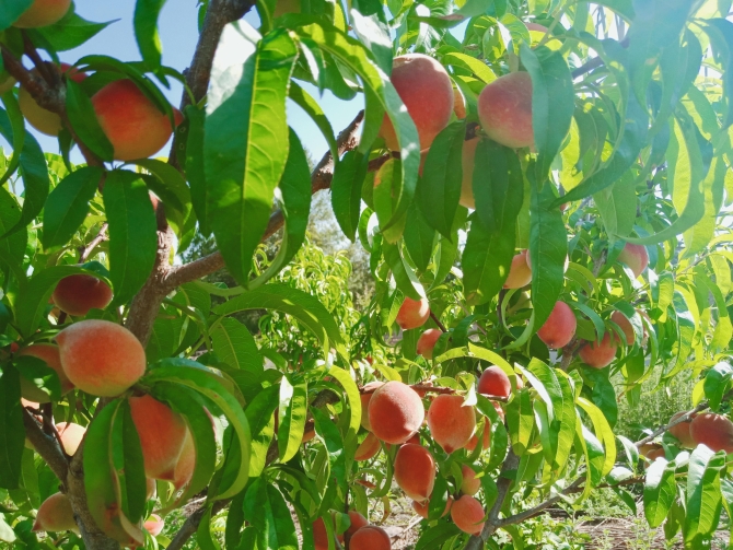 微信图片_20200513104437