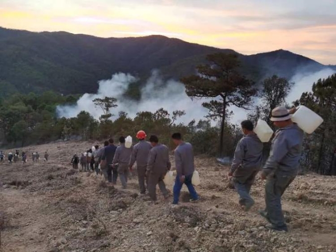 火灾云南安宁发生森林火灾，消防员已奋战三天！这个细节把网友看哭了