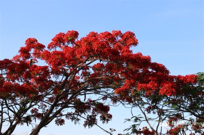 4b90015874fdf27d5b131085947e997