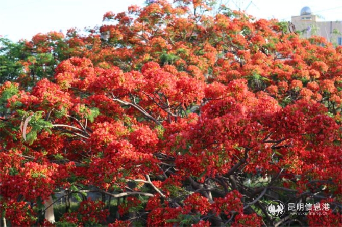 93b1f5ada29e7ae55fafc0c2607c483