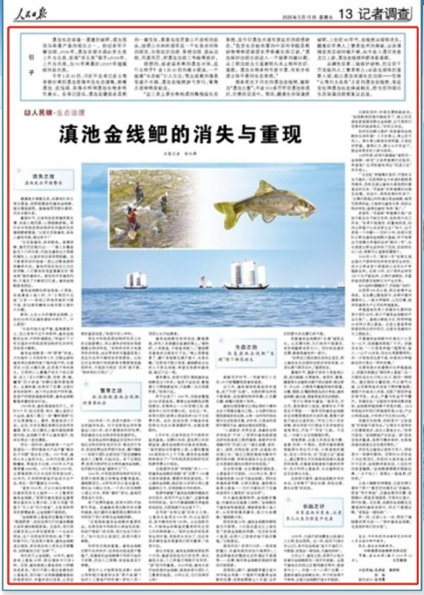 5ebe265e446b8 5ebe265e446b8