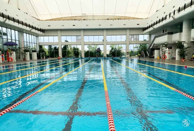 云南大型游泳馆开放暂缓.png