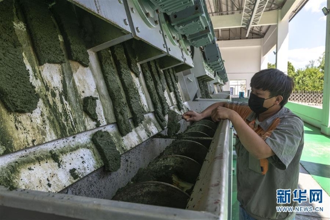 (环境)(3)滇池除藻 护碧水清流